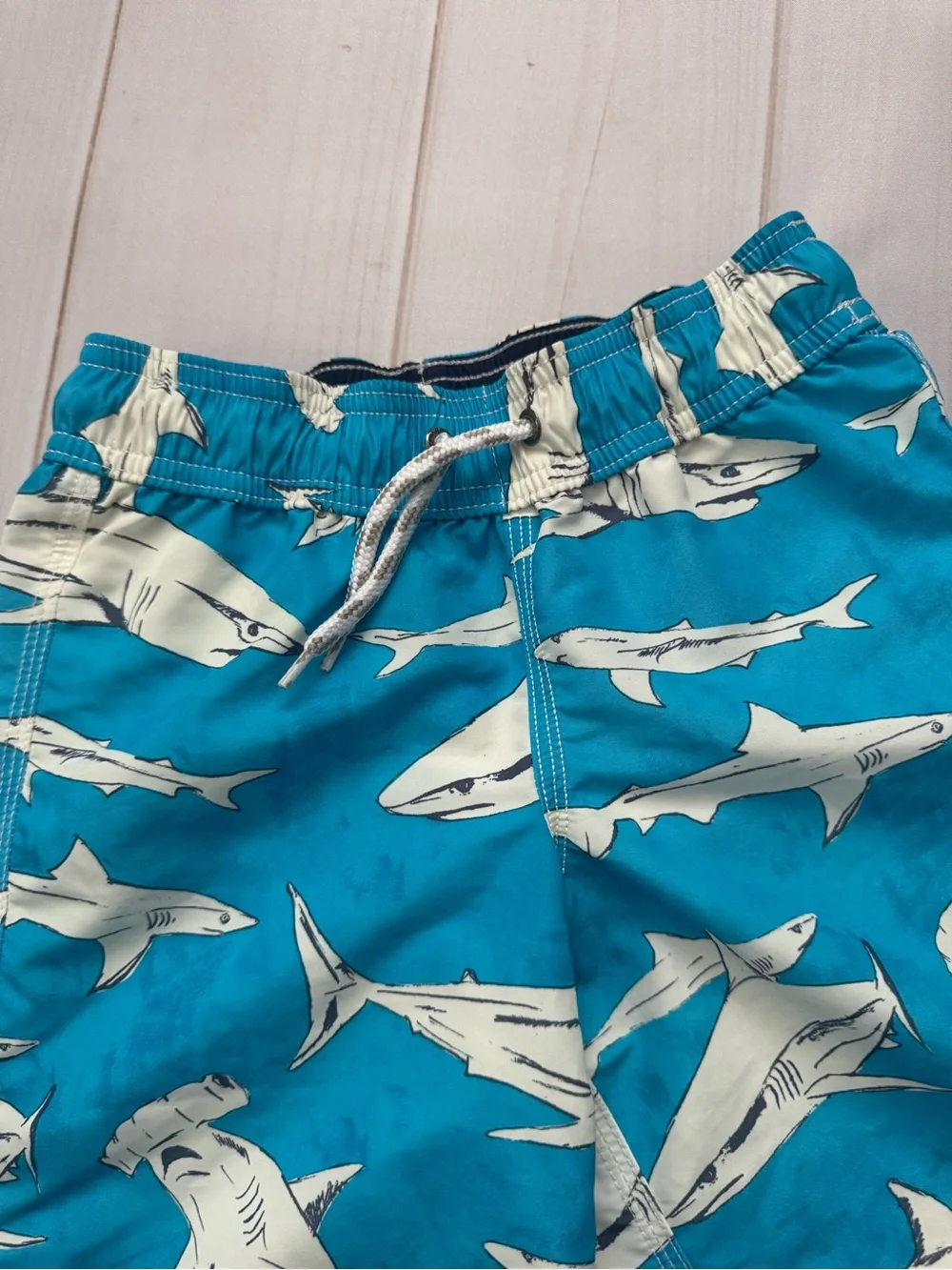 Lands End Shark Swim Trunks
